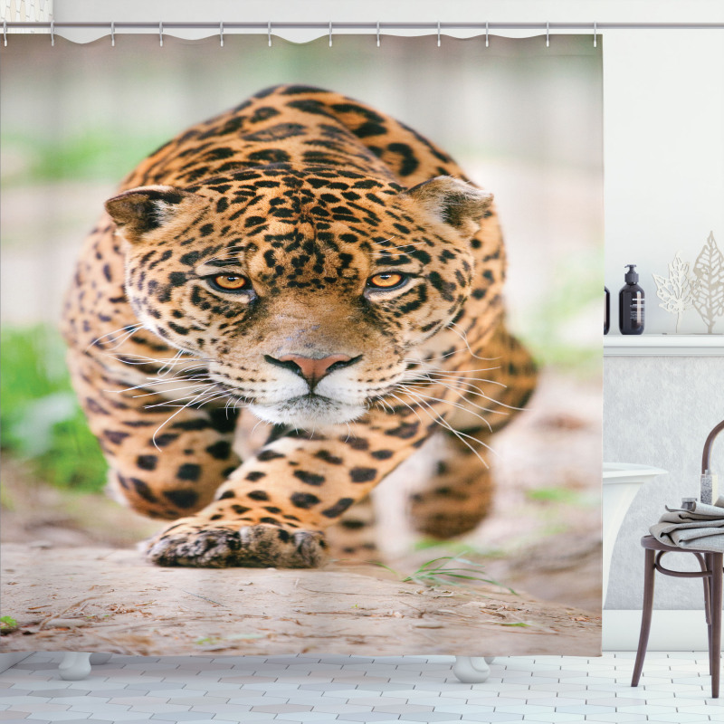 Jungle Fauna Predator Cat Shower Curtain