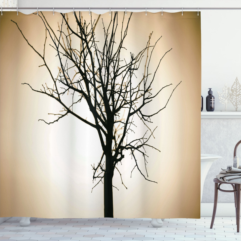 Barren Tree on Ombre Shower Curtain