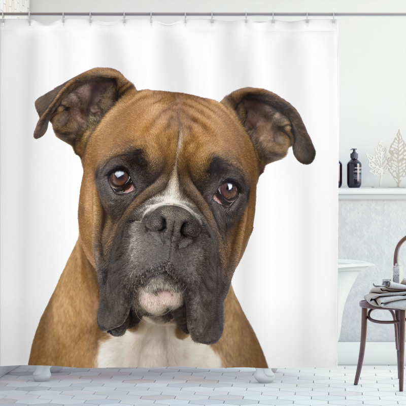 Purebred Dog Front View Shower Curtain