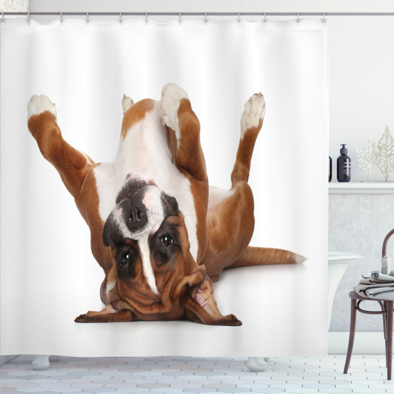 Funny Playful Puppy Image Shower Curtain