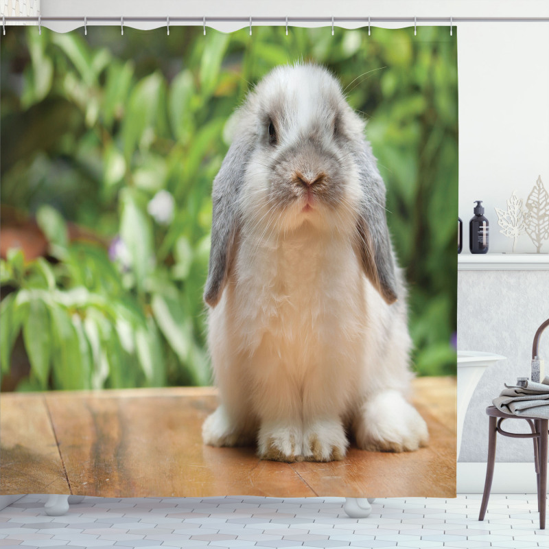 Photo of Holland Lop Rabbit Shower Curtain