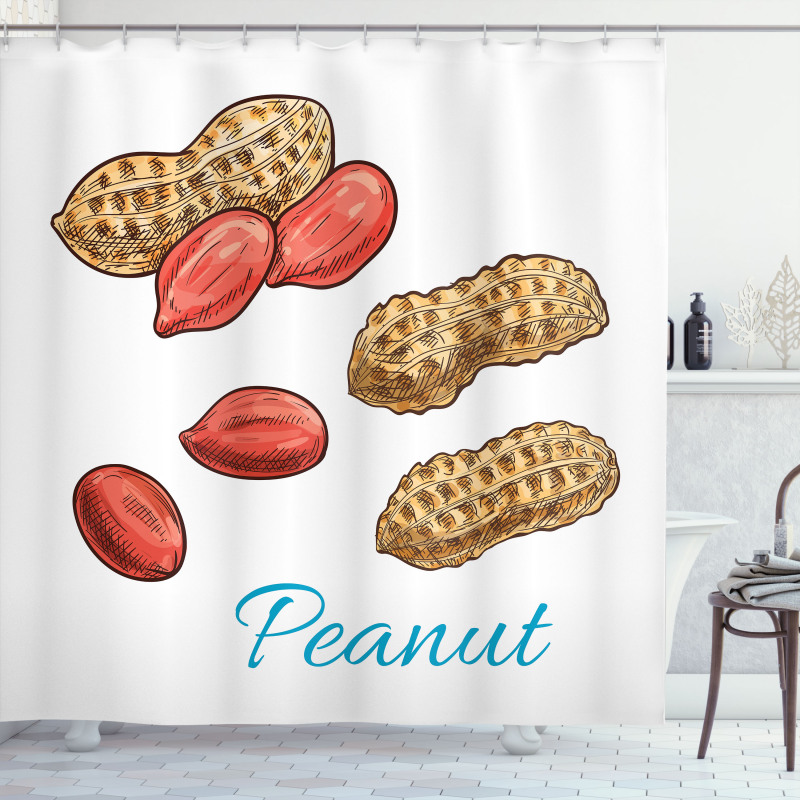 Peanut Sketch of Nut Shower Curtain