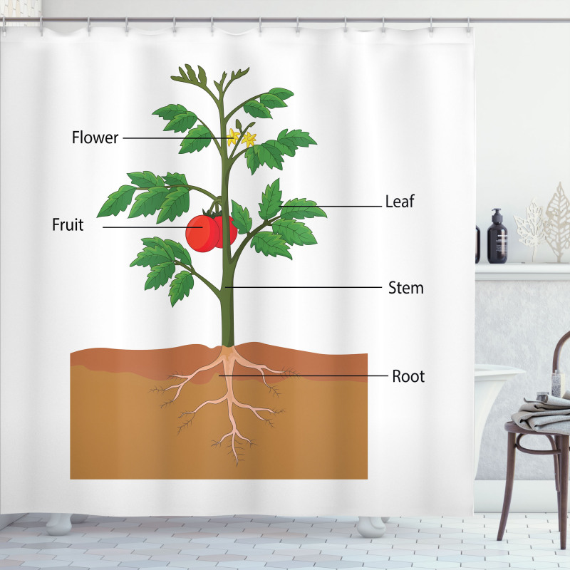 Parts of a Tomato Plant Shower Curtain