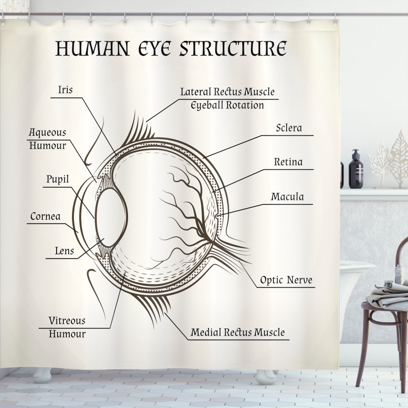 Structure of the Human Eye Shower Curtain