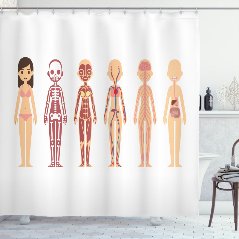 Female Body Anatomy Chart Shower Curtain