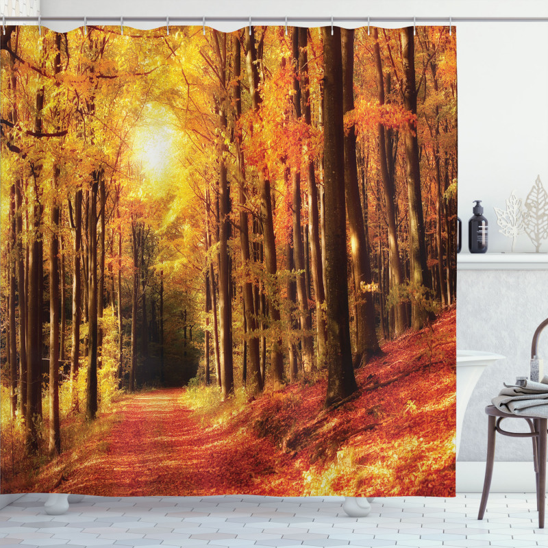 Fall Trees at Sunset Woods Shower Curtain