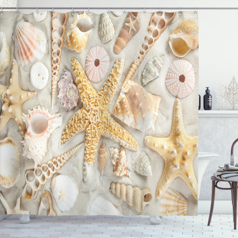 Assorted Seashells Sand Beach Shower Curtain