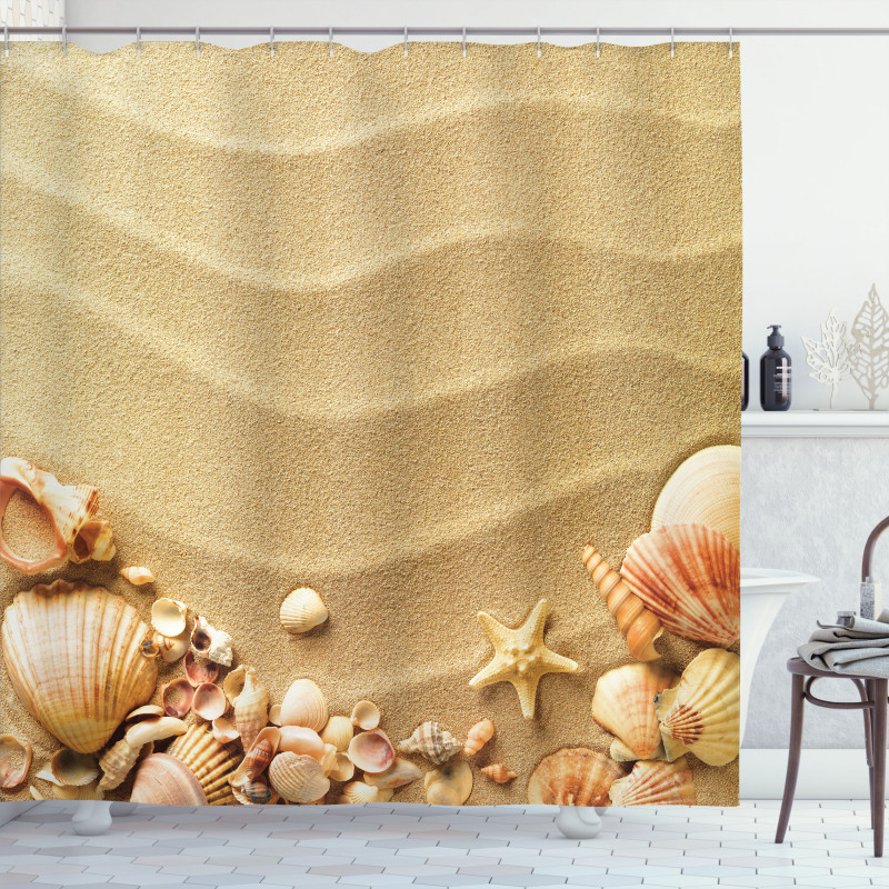 Various Seashells on Sand Shower Curtain