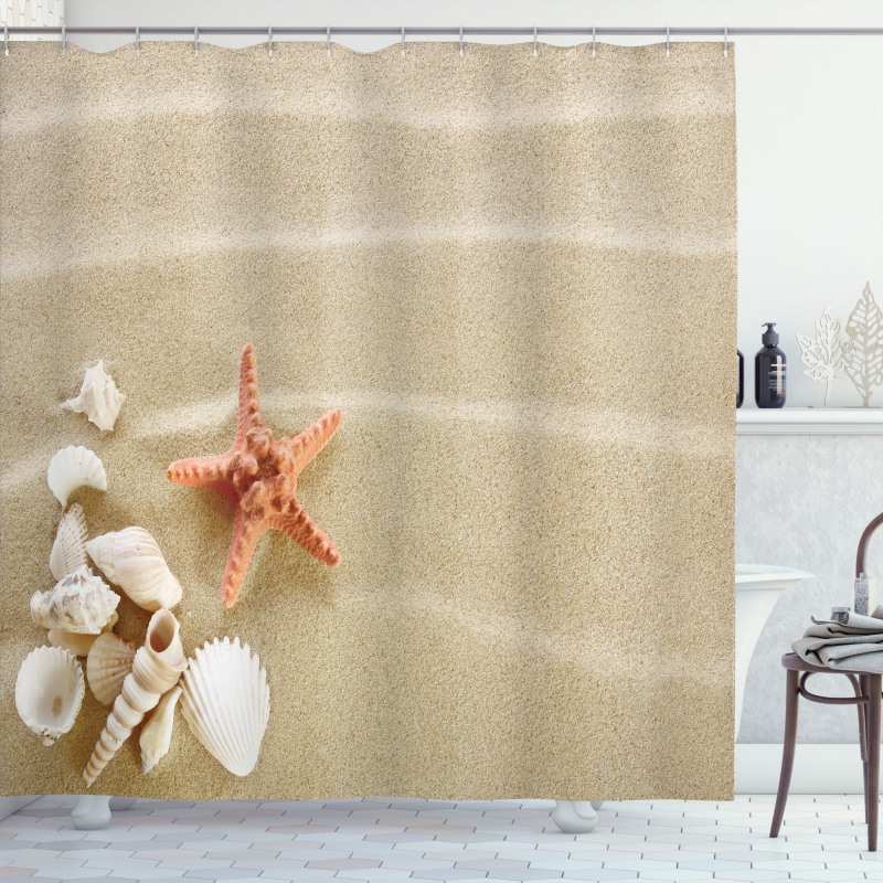 Exotic Seashells with Sand Shower Curtain