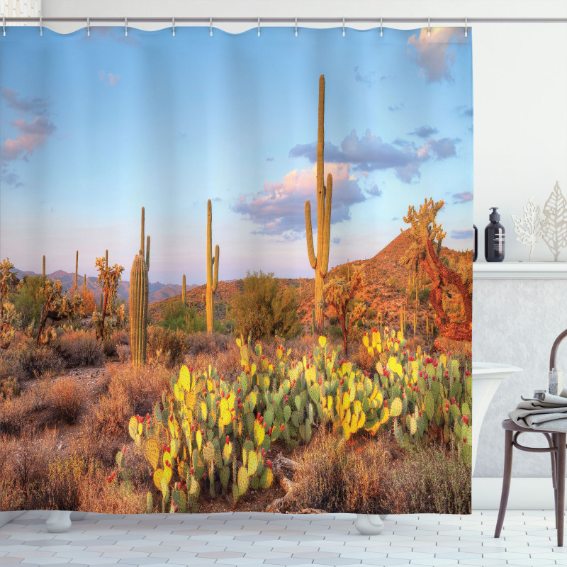 Cacti in Sonoran Desert Shower Curtain