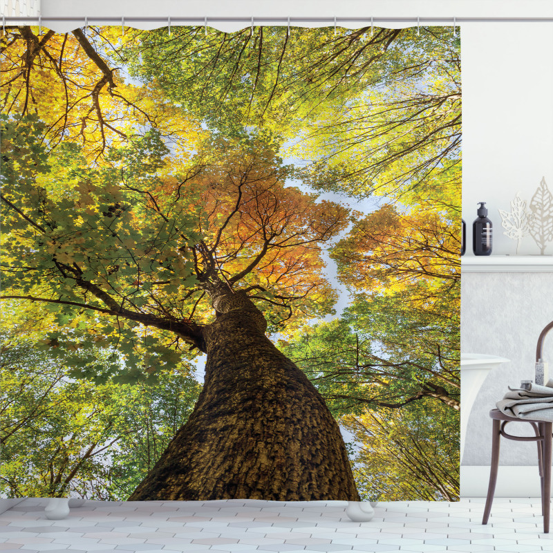 Autumn Tree of Nature Photo Shower Curtain