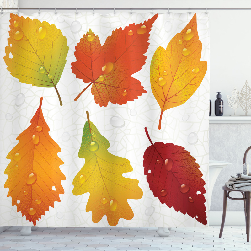 Realistic Dried Leaves Falling Shower Curtain