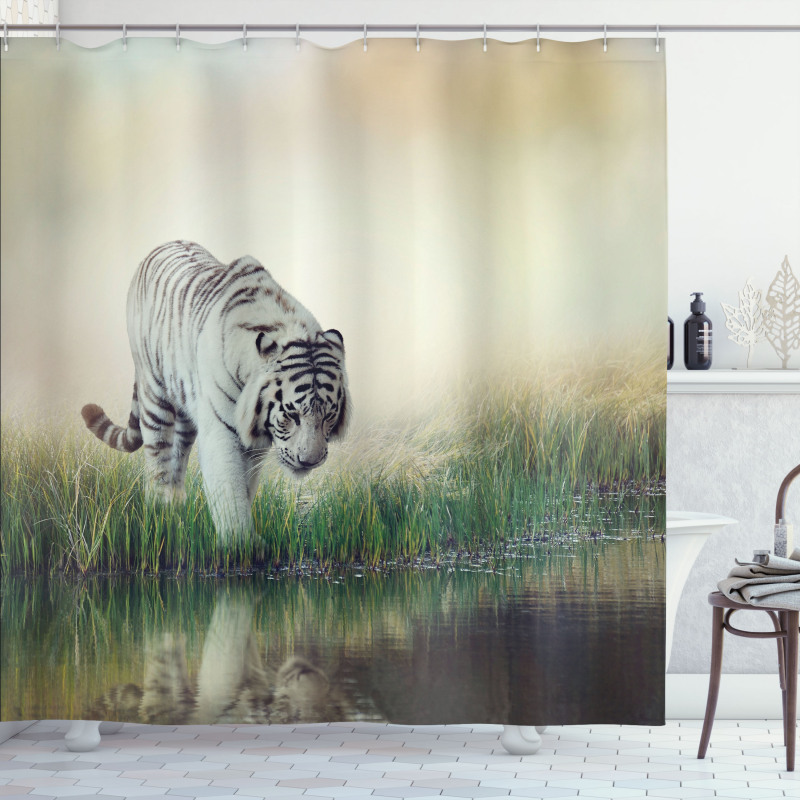 Albino Tiger Near a River Shower Curtain