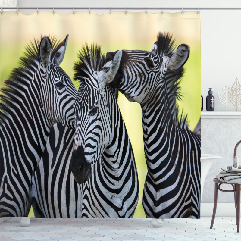 Zebras Wild Nature Shower Curtain