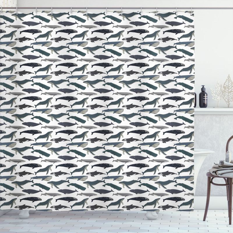 Whales Aquatic Species Marine Shower Curtain