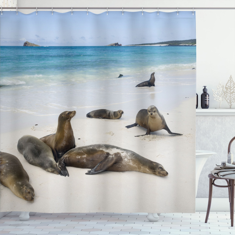 Galapagos Island Sea Lions Shower Curtain