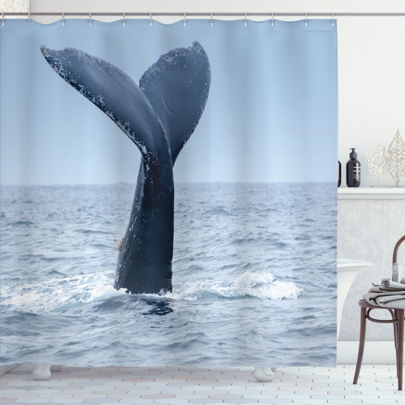 Whale Tail Puerto Lopez Shower Curtain