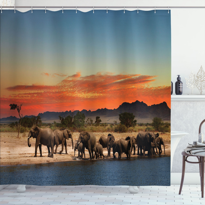 Safari Wildlife Shower Curtain