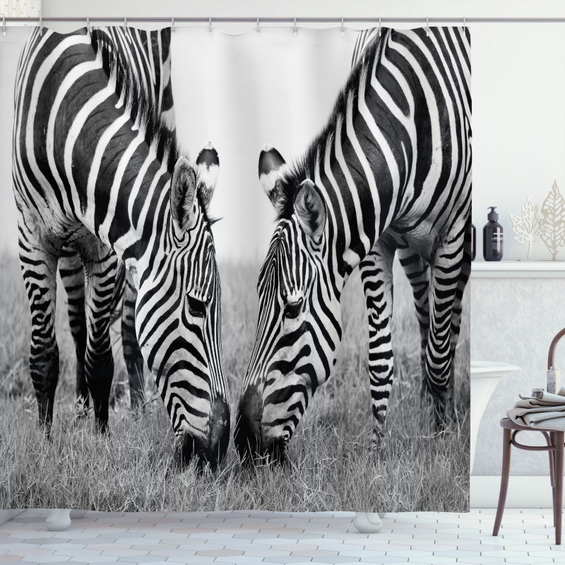 Wildlife Burchell Shower Curtain