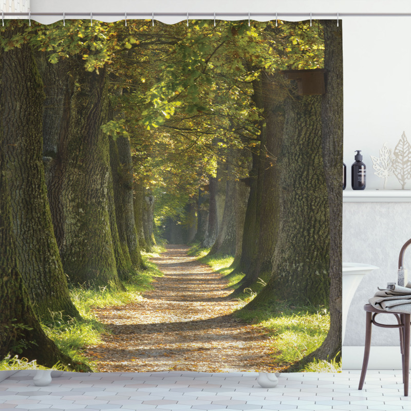 Alley with Oak Trees Shower Curtain