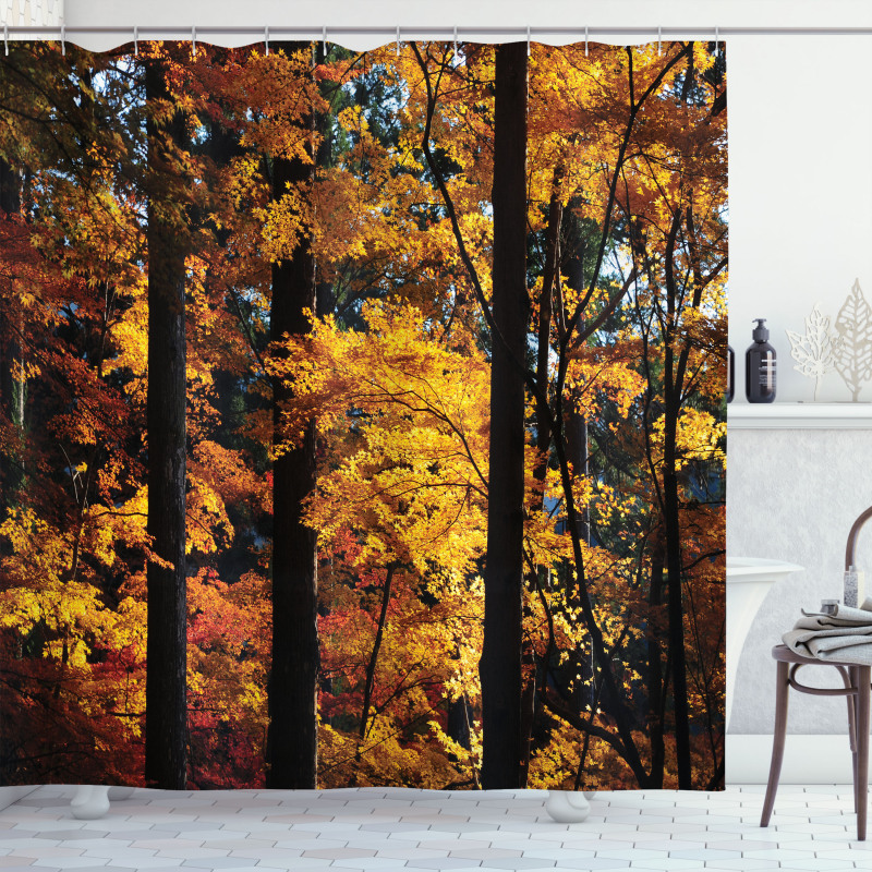 Fall Tranquil Countryside Shower Curtain