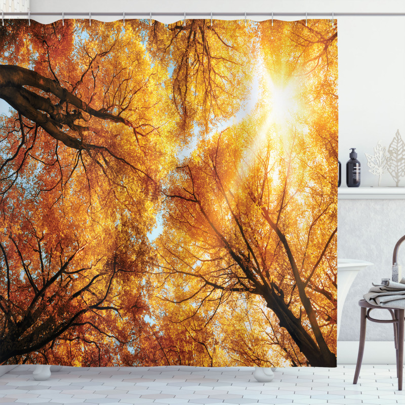 Autumn Sunbeams Forest Shower Curtain