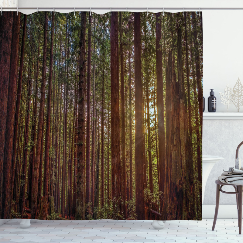 Redwood Forest Park USA Shower Curtain