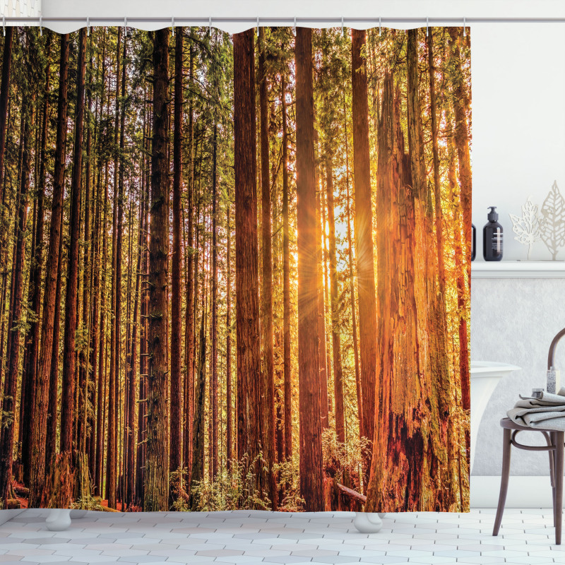 Redwoods Forestry Shower Curtain