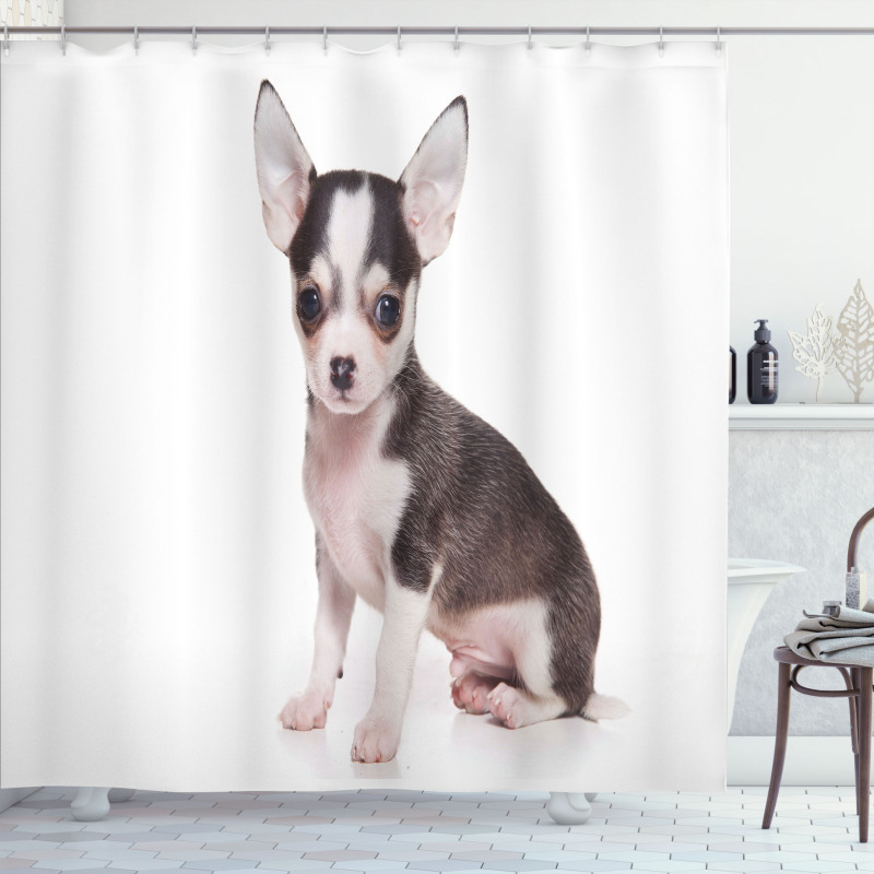 Ears Innocent Eyes Shower Curtain