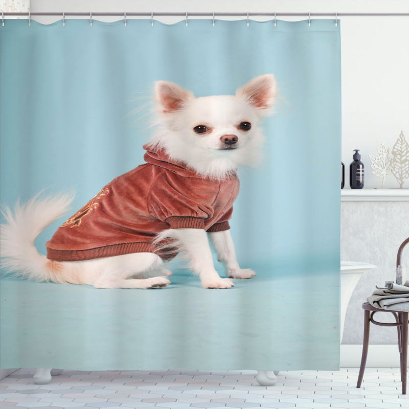 Puppy with Clothes Shower Curtain