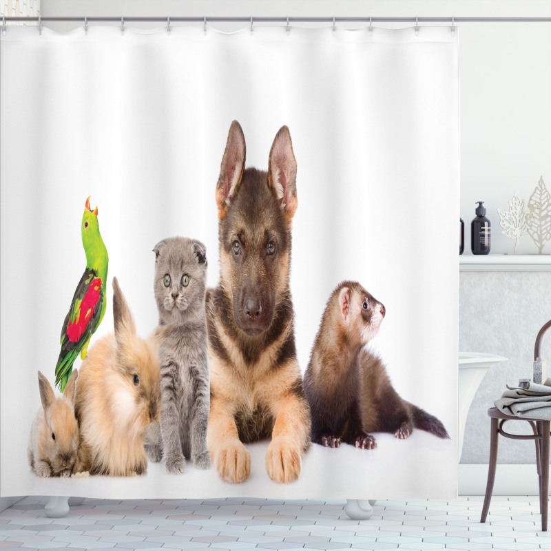 Bunnies Cat Dog and Ferret Shower Curtain