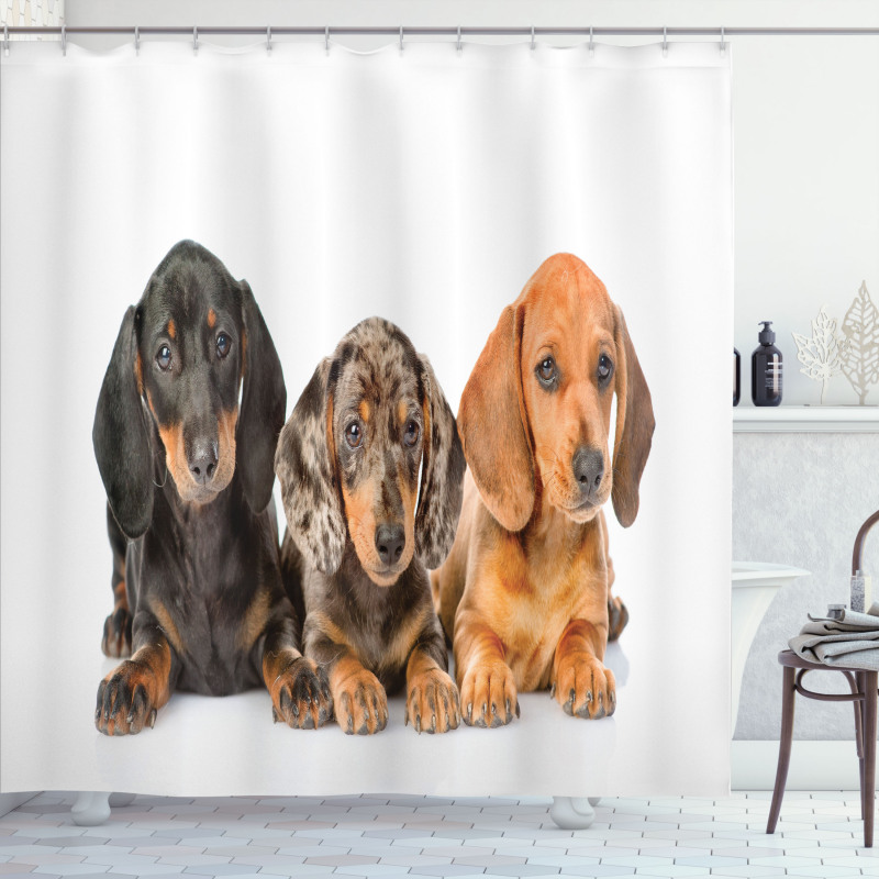 Different Color Dogs Lays Shower Curtain