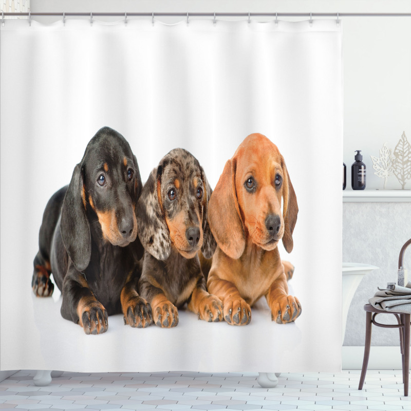 Puppies Lying Together Shower Curtain