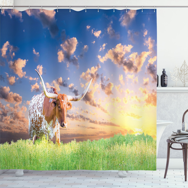 Female Cow in Pasture Sky Shower Curtain