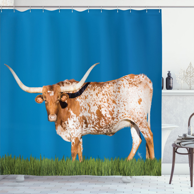 Female Cow and Open Sky Shower Curtain