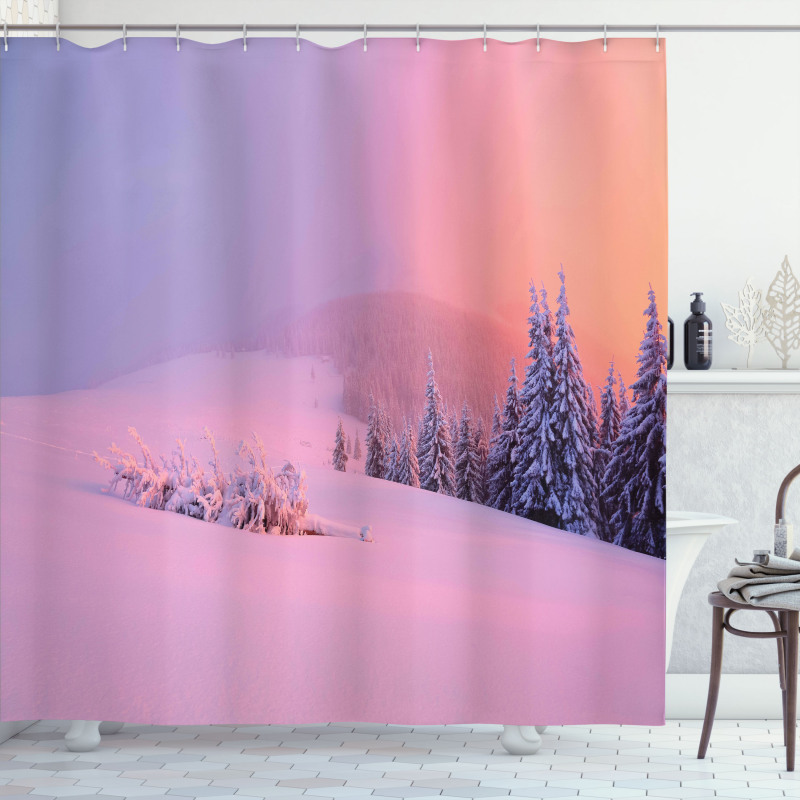 Winter Scenery Shower Curtain