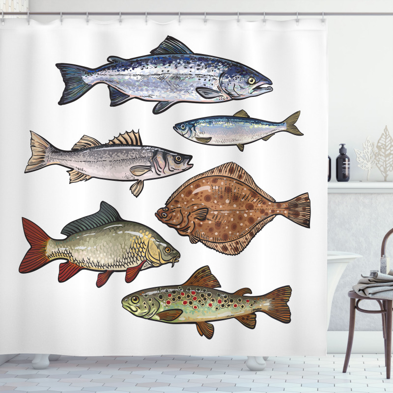 Drawn Various Species of Fish Shower Curtain