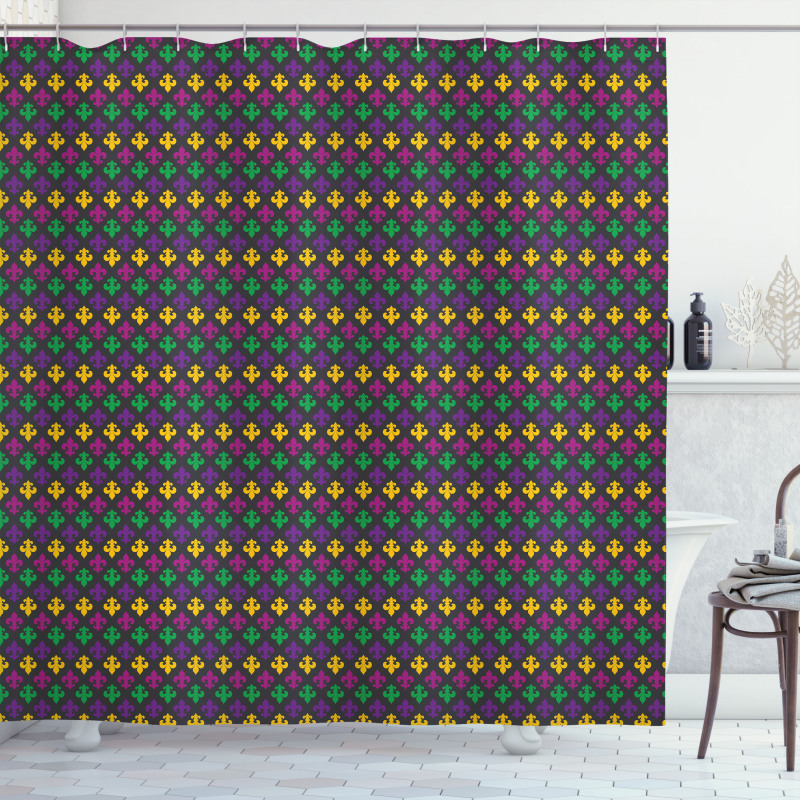 Mardi Gras Celebration Shower Curtain