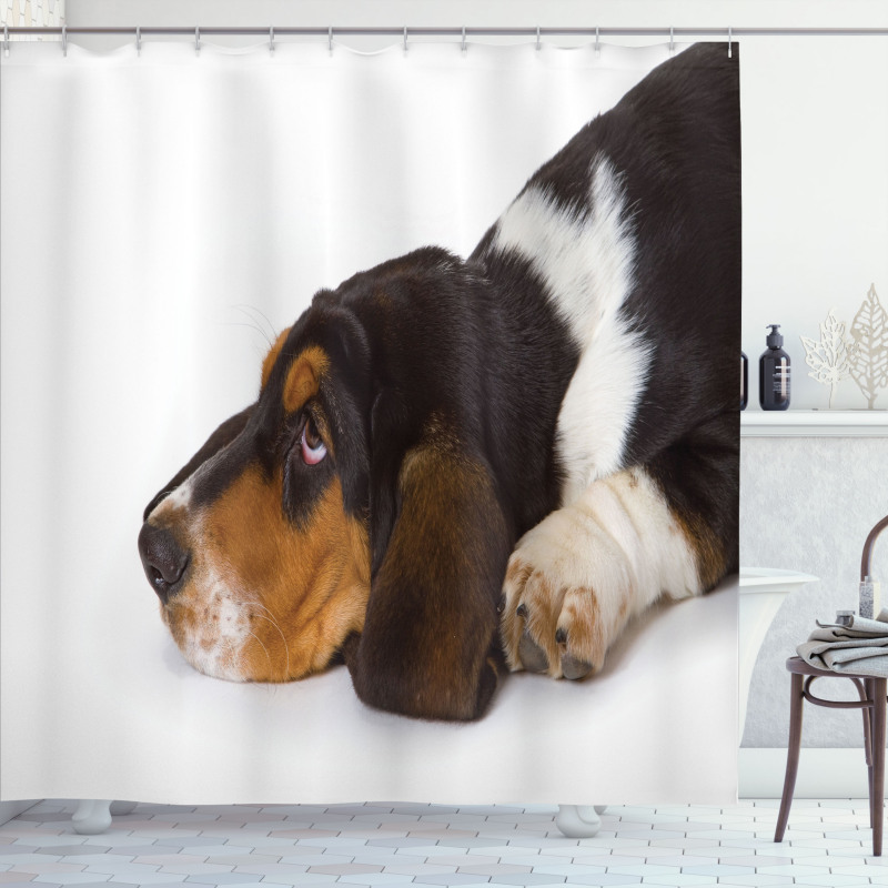 Innocently Lying Dog Shower Curtain