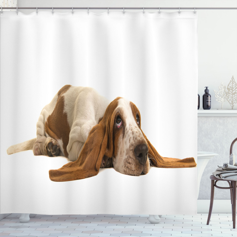 Long Eared Dog Shower Curtain