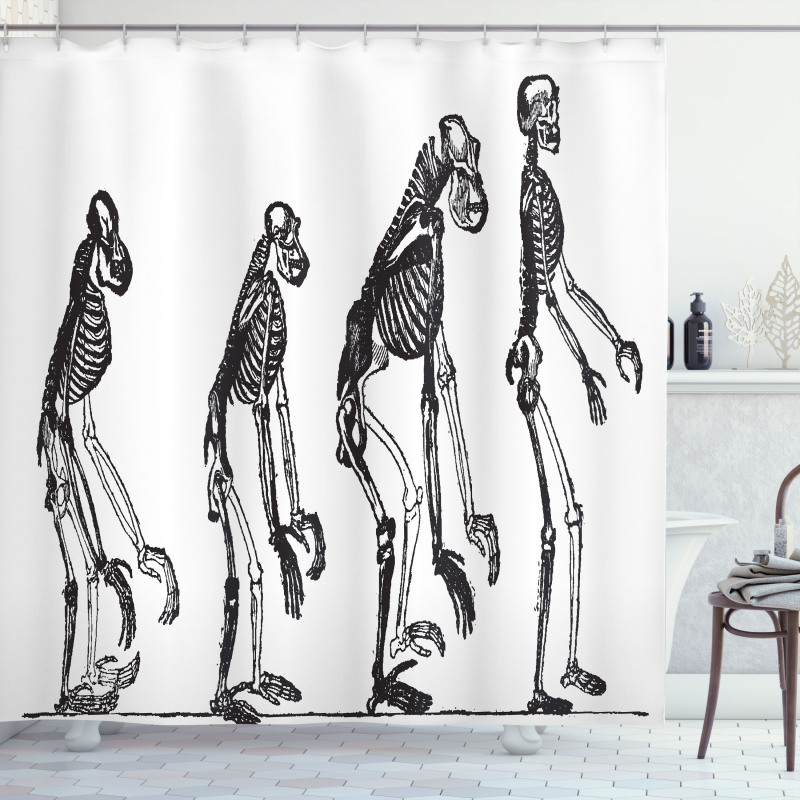 Evolution Theme Ape to Man Shower Curtain