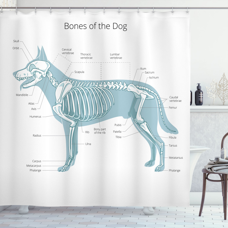 Bones of the Dog Table Shower Curtain