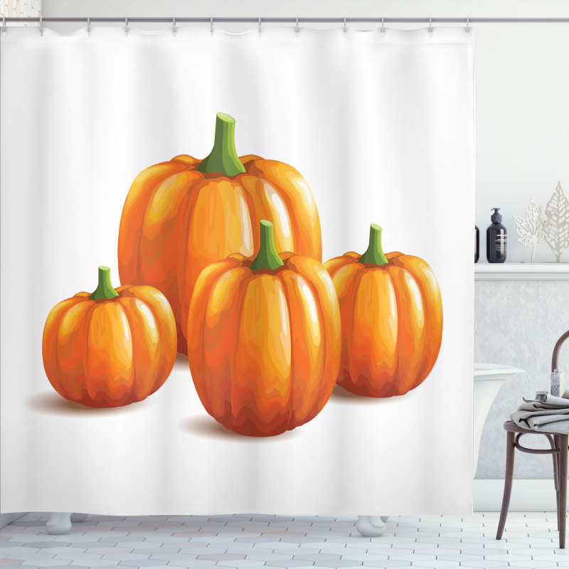 Fall Season Fruits Shower Curtain