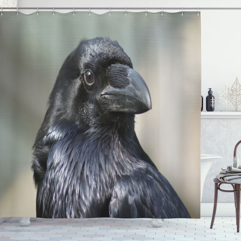 Close up Bird Portrait Shower Curtain