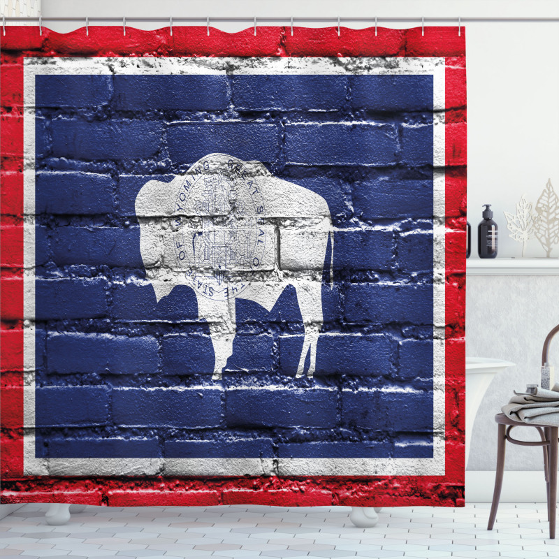 State Flag Paint on Bricks Shower Curtain