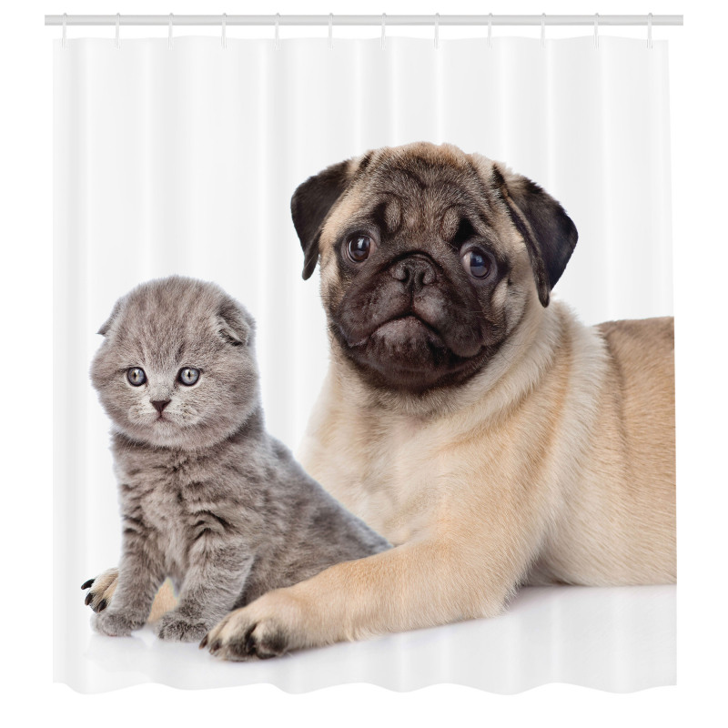 Hayvan Duş Perdesi Pug Köpek ve Scottish Fold Yavru Kedi Beyaz