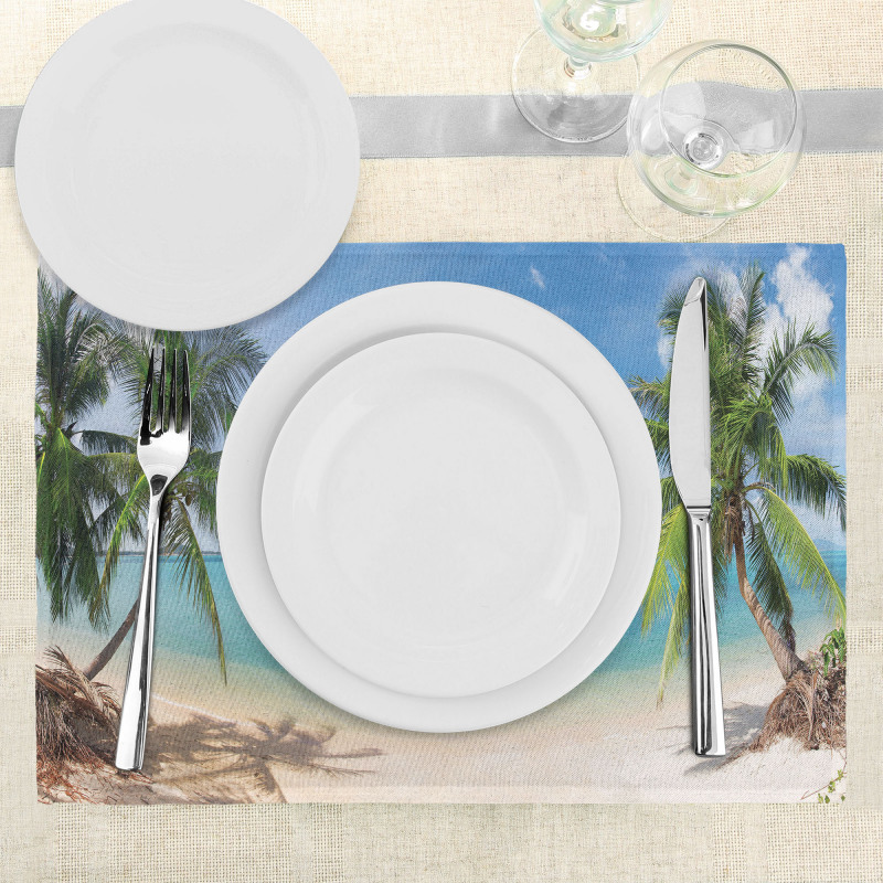 Panoramic View Beach Place Mats