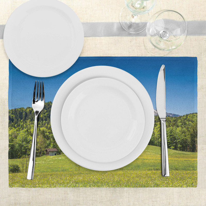 Bavarian Alps Village Place Mats