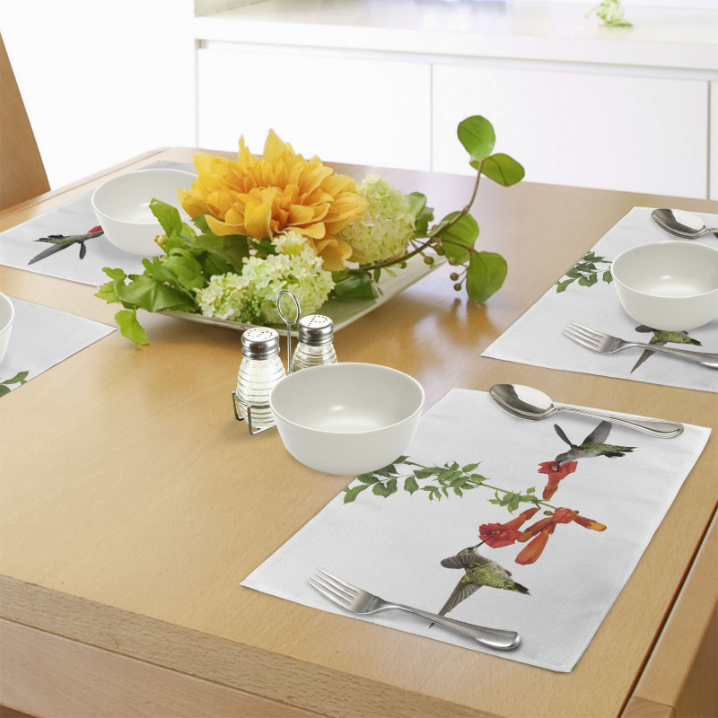 Hummingbird Nectar Sip Place Mats