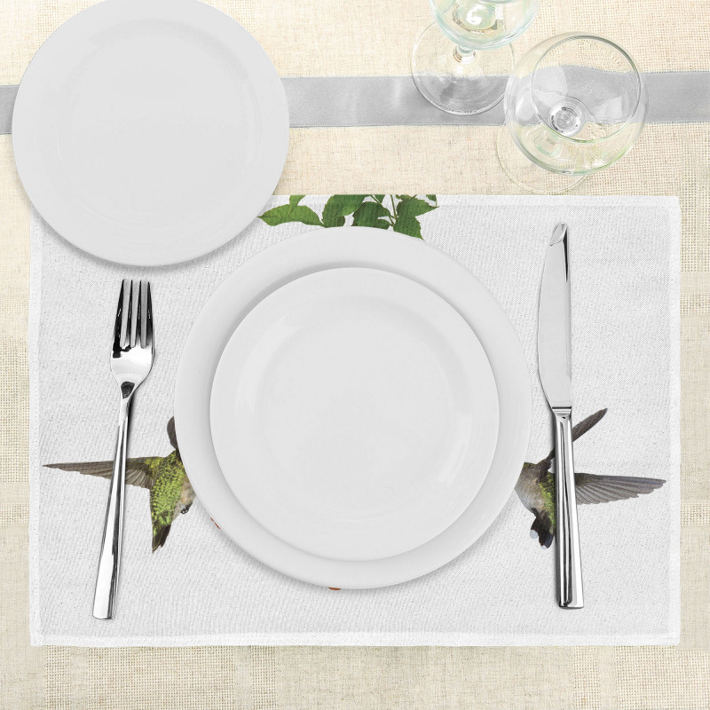 Hummingbird Nectar Sip Place Mats